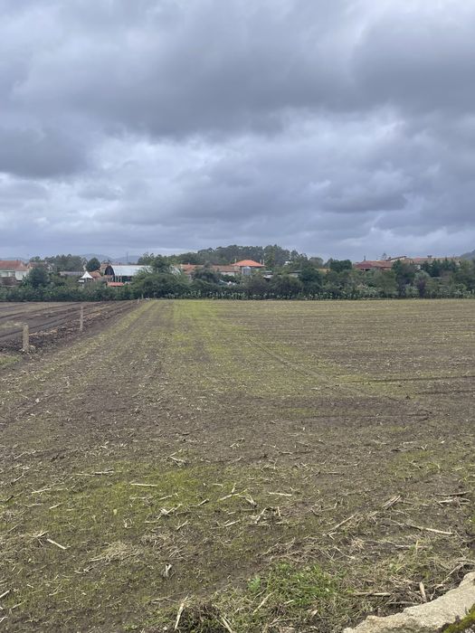 Rototerra 2.50  m