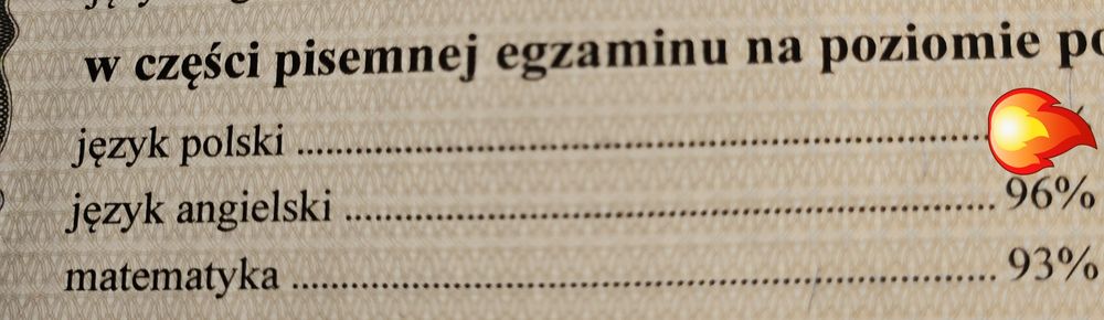 Korepetycje: Julian (matematyka, fizyka, angielski)