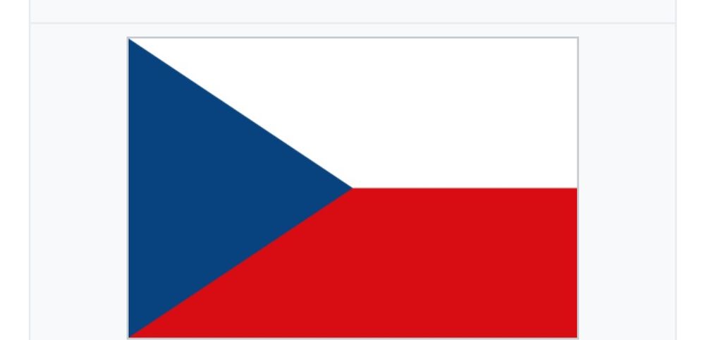 Допомога у розмитненні авто