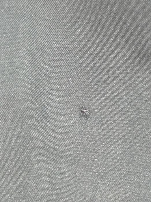 куртка-ветровка ріст 158-164