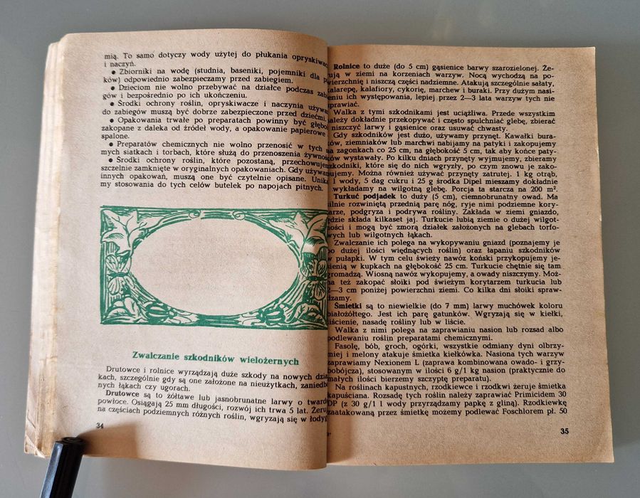 Zaborska, Zawistowska - Warzywa na działce i w kuchni