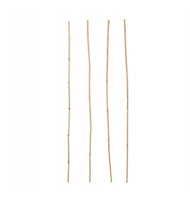 Tyczki drabinki podpory BAMBUSOWE TYCZKA DRABNKA PODPORA bambus