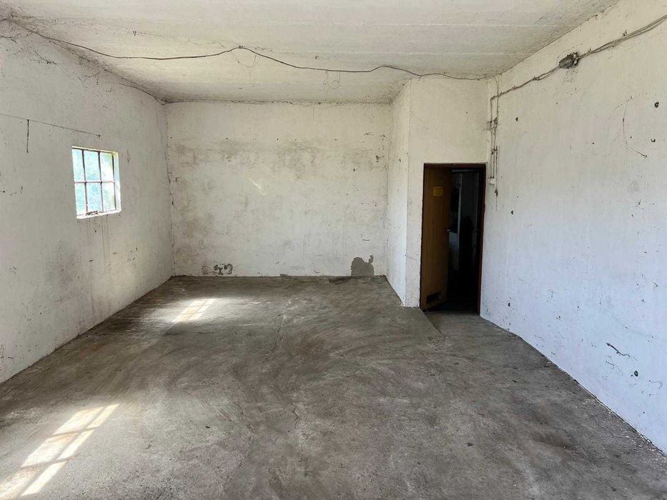 Dzierżawa stajni, wynajem, hodowla koni