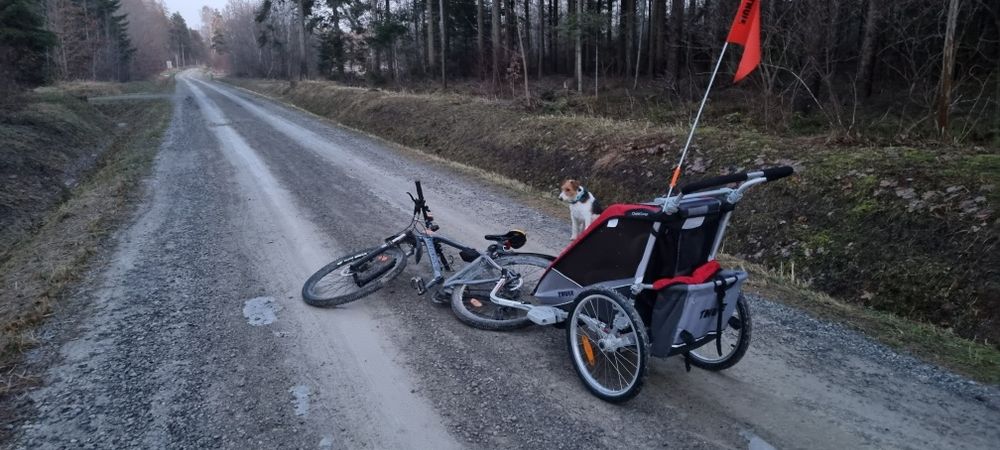 THULE Przyczepka rowerowa COUGAR
Cougar 1 Red