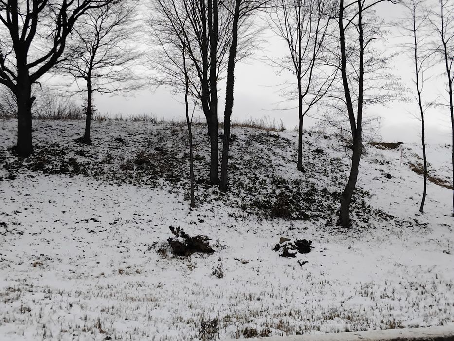 Ціну змінено! Продаємо ділянку у Квітки Полонини Солочин Закарпатськ