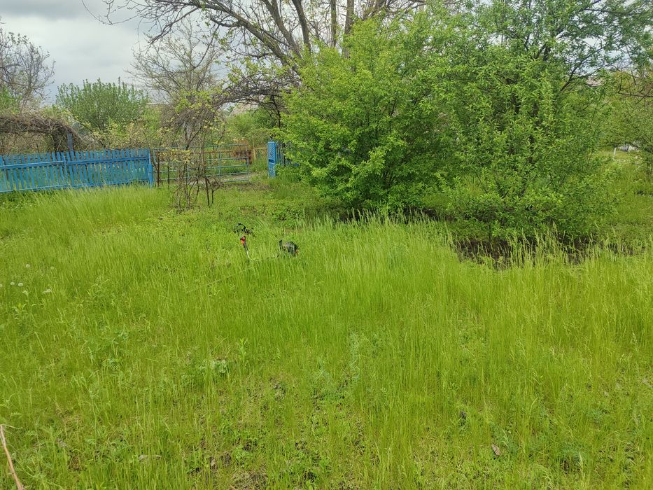 Покос травы , расчистка участков .