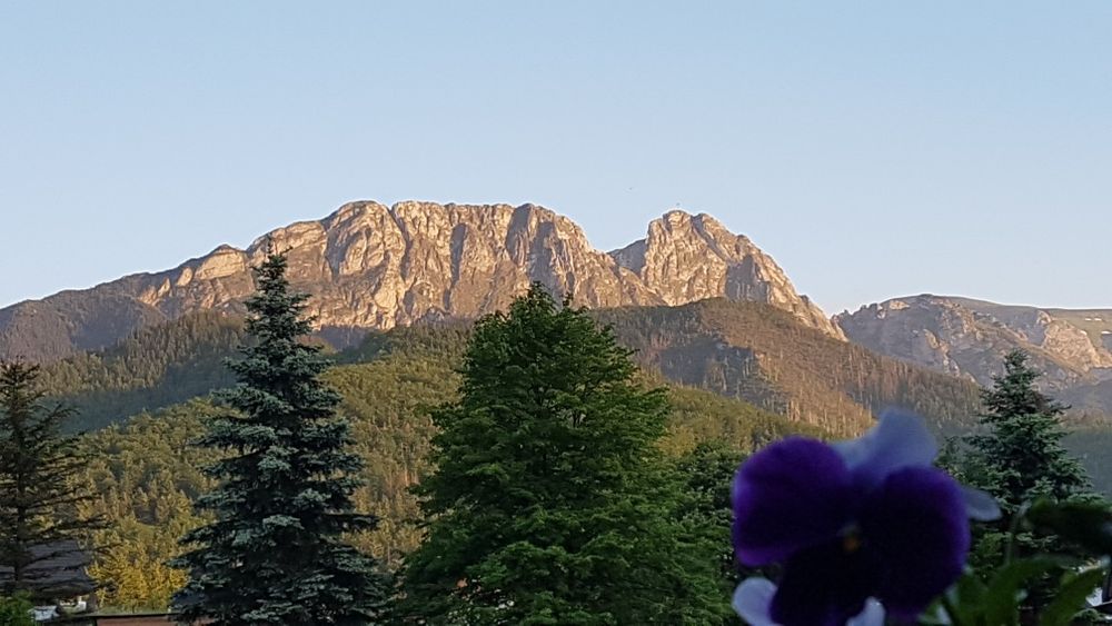 Zakopane Centrum . Widok na GÓRY