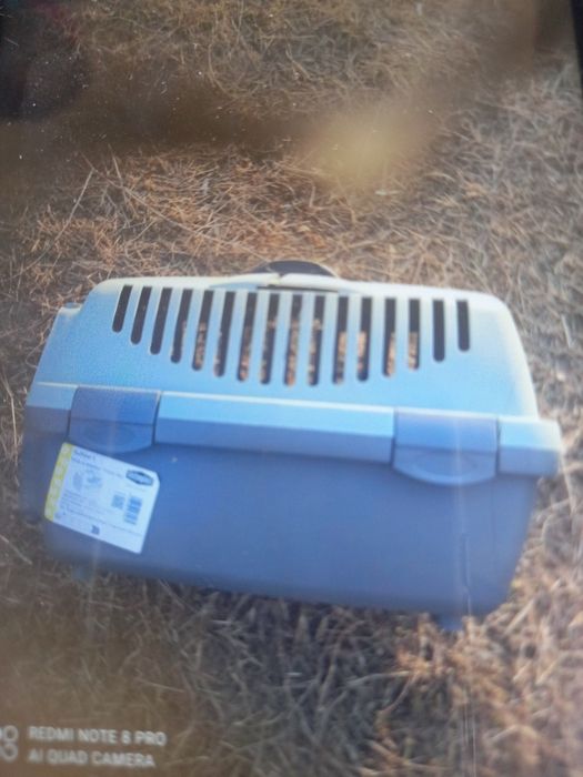 нові італійські переноски для собак котів