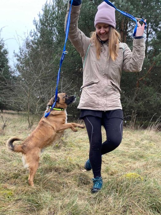 Grzeczny,  kochany Hiacynt czeka w schronisku!