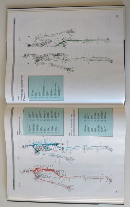 Atlas Anatomia Humana - 2 livros novos em Espanhol