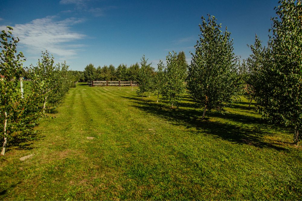 Dom – Ludwina - Widok 5