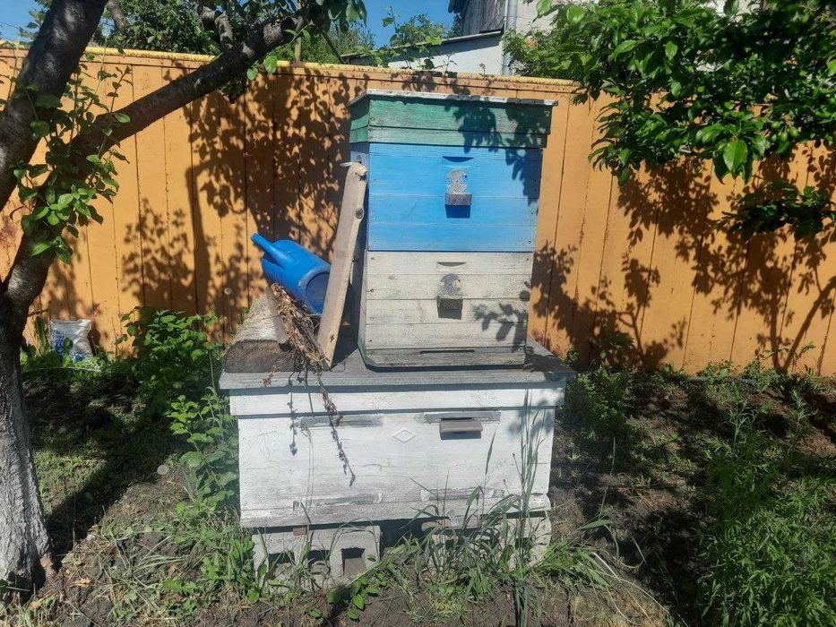 Продам вулики б/в
