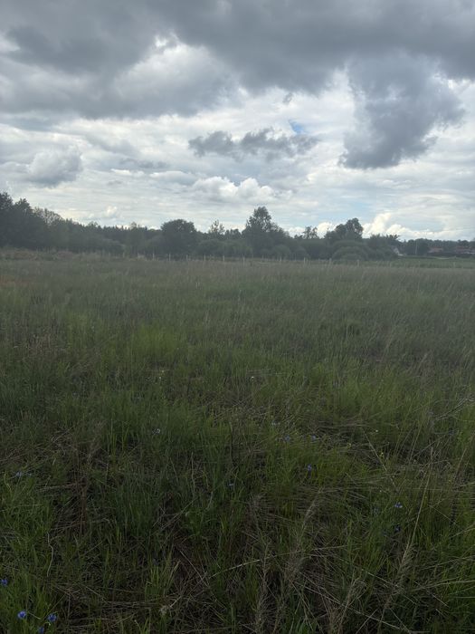 Działki budowlane Rudzienice k. Iławy