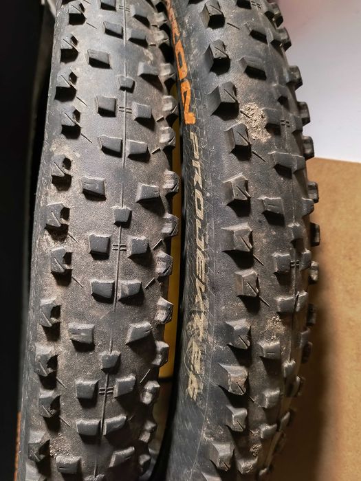 Opony MTB Continental DER baron projekt 2 szt.