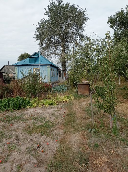 Будинок в 100км від Київа. Село Чемер.