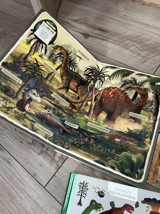 Książki o dinozaurach + puzzle