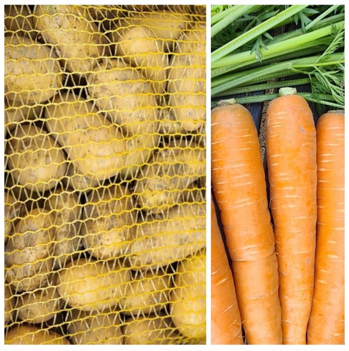 Zestaw warzyw 24kg bezpośrednio z gospodarstwa