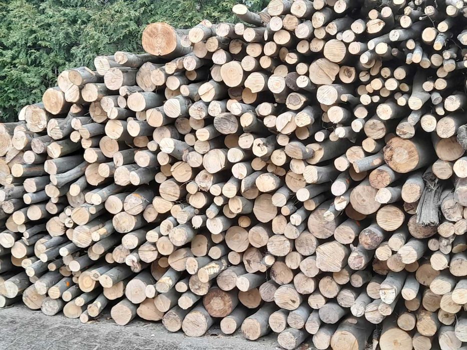 Drewno drzewo opałowe gałęziówka bukowe