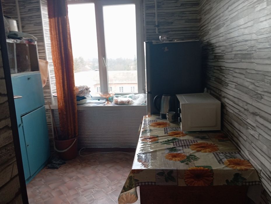 Продам 2-кімнатну квартиру + гараж з сараєм у Побузькому