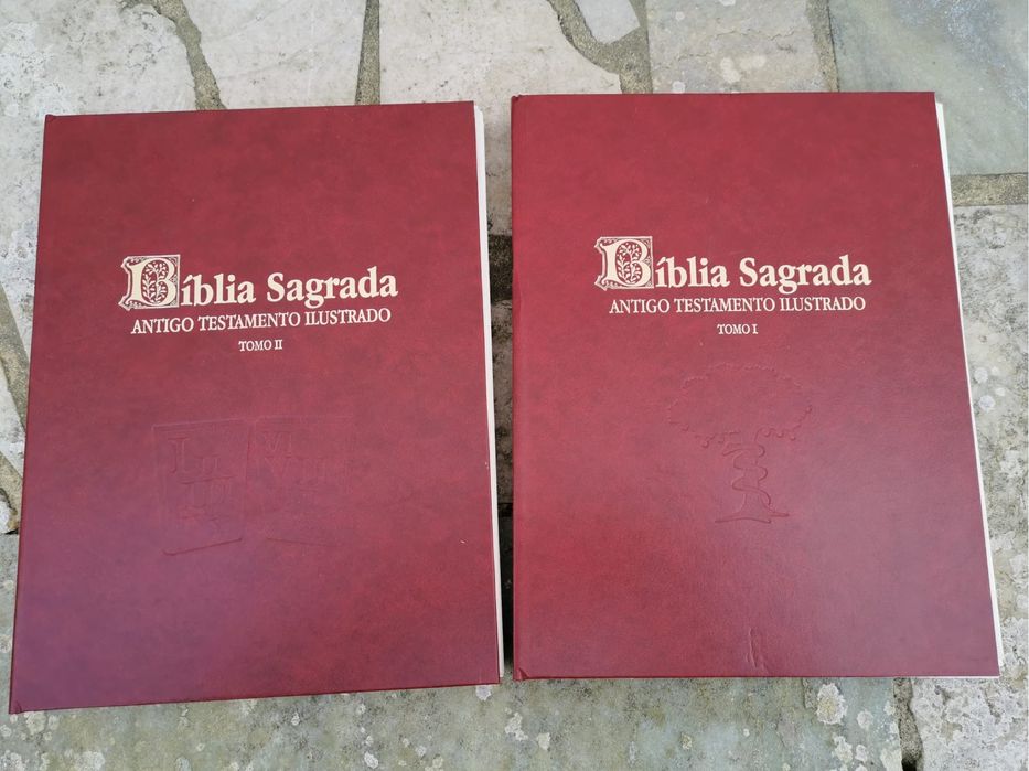 Biblia sagrada antigo testamento ilustrado