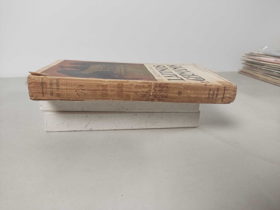 Livro  Ref Cx B- Agostinho de Campos - Latinos e Germanos