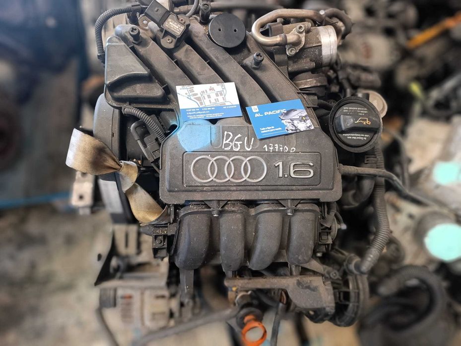 MOTOR USADO AUDI A3 SPECIAL EDITION 16V 101CV Ref. BGU