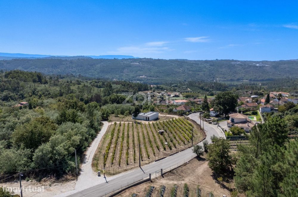 Casa T3 com piscina e vinha em Penalva do Castelo