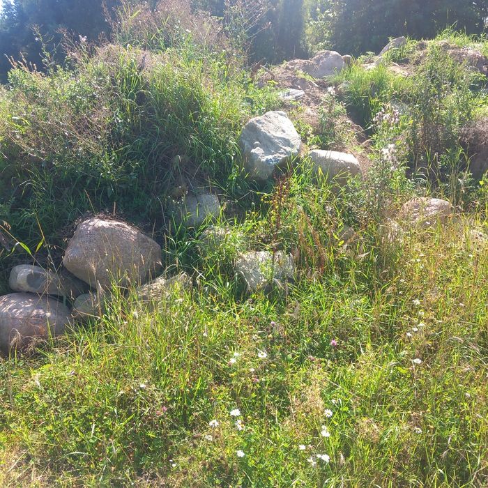 Oddam za darmo  kamienie z ziemią . Transport we własnym zakresie