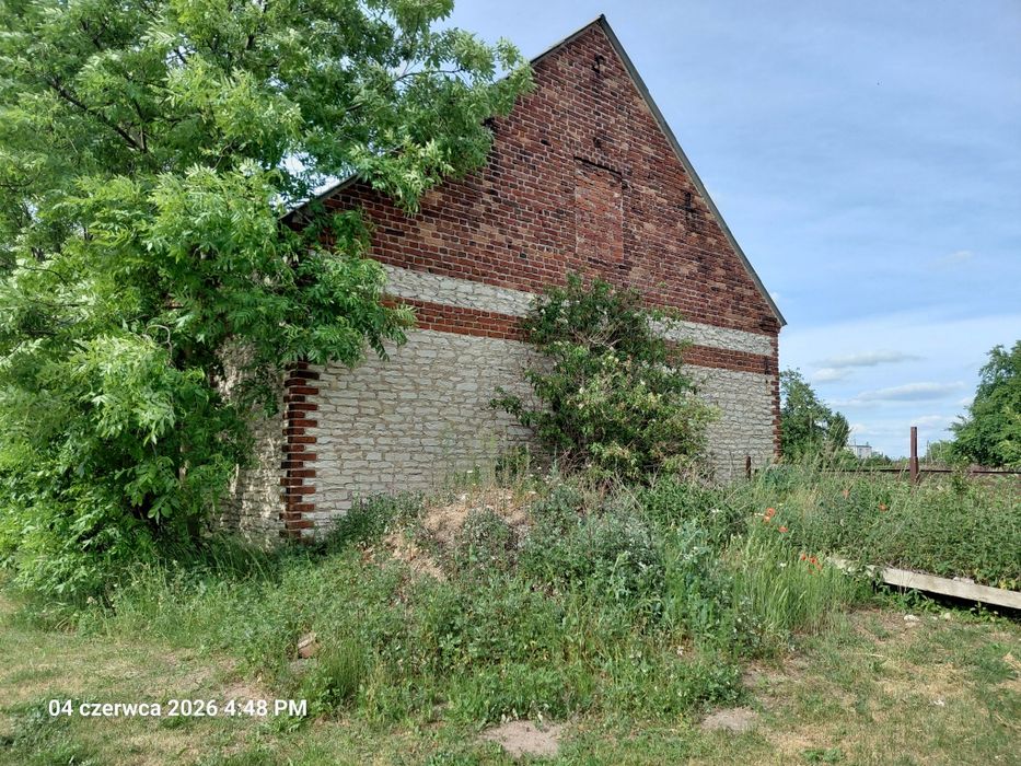 Sprzedam pole z starymi zabudowaniami.   5 ha kl 3a 3b ziemia rolna - Widok 2