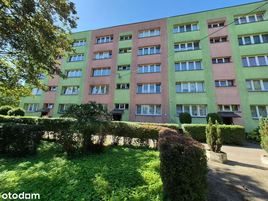 2 pokojowe mieszkanie + kuchnia do własnej aranżacji, Centrum