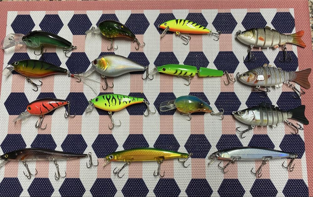 Amostras - Pesca Achigã