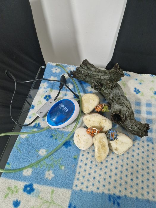 Akwarium modelbrillukx