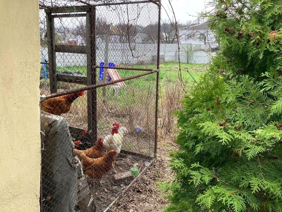 Здам будинок військовим