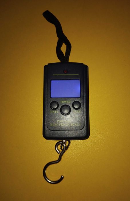 Электронные весы