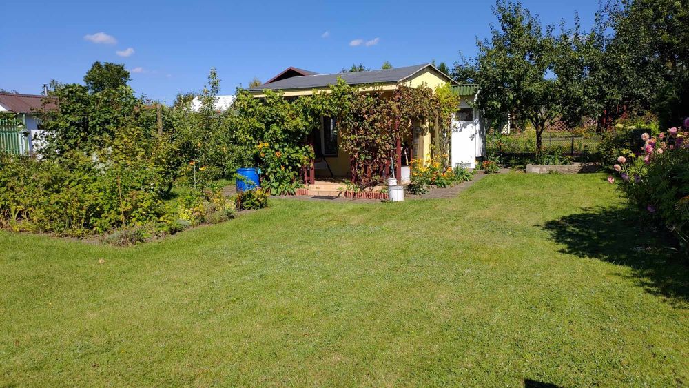 Sprzedam działkę ogrodową ROD