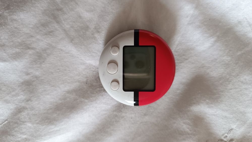 Pokewalker Pokemon