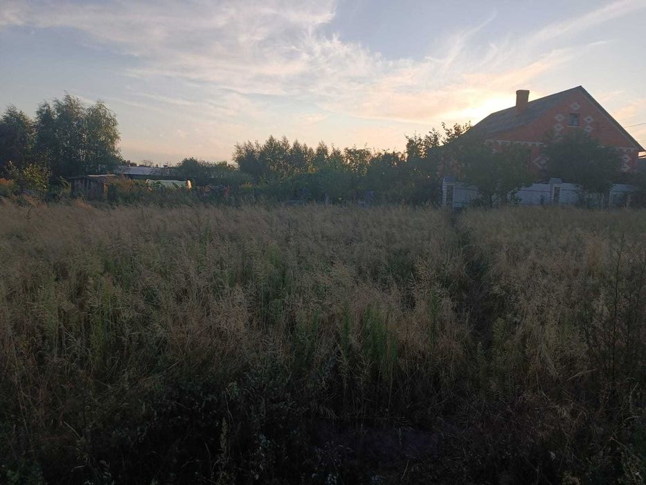 Земельна ділянка