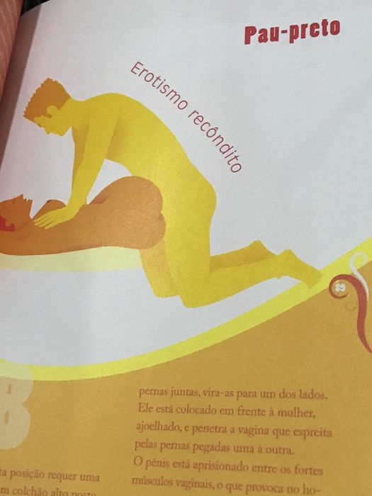 Livro Sexo + de 100 Posições