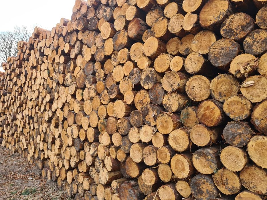 świerk paletowy 2.5m paletówka 15-30cm kłoda świerkowa