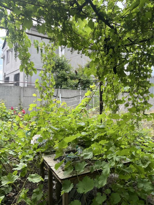 Продаж будинку вул.Соснова