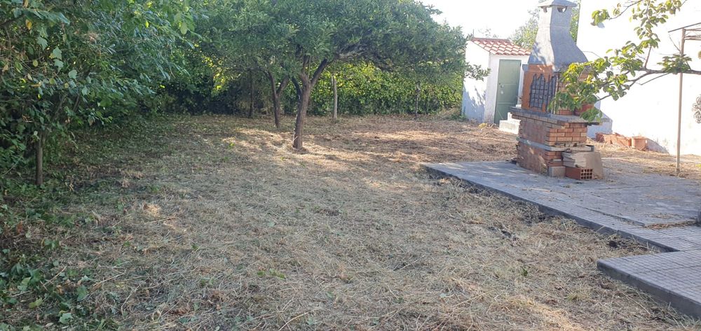 Limpeza de lotes e terrenos