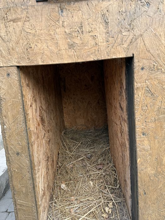 Будка для собаки