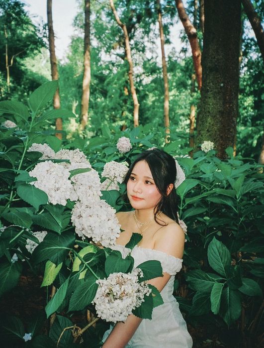 Contax TVS III , Contax T2 ,Mju ii