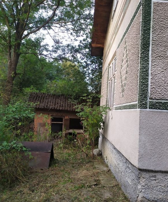Продається будинок (під дачу) Рошнів