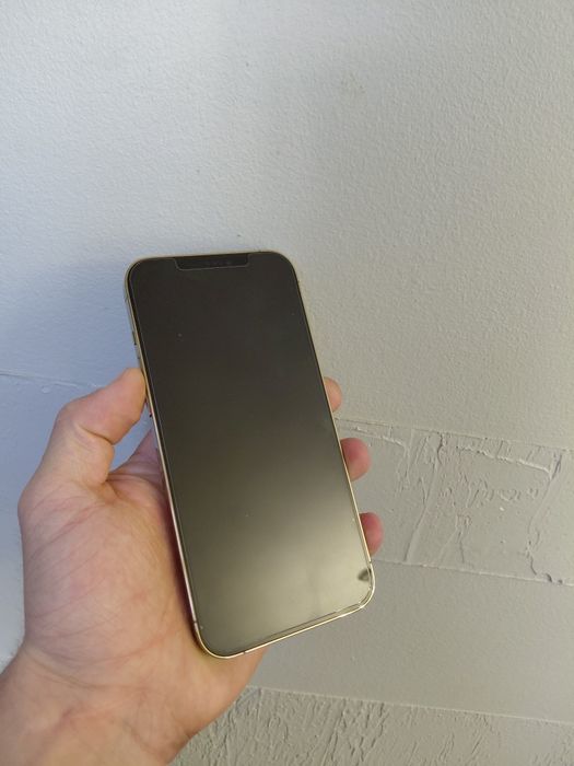 Iphone 12 pro max r-sim