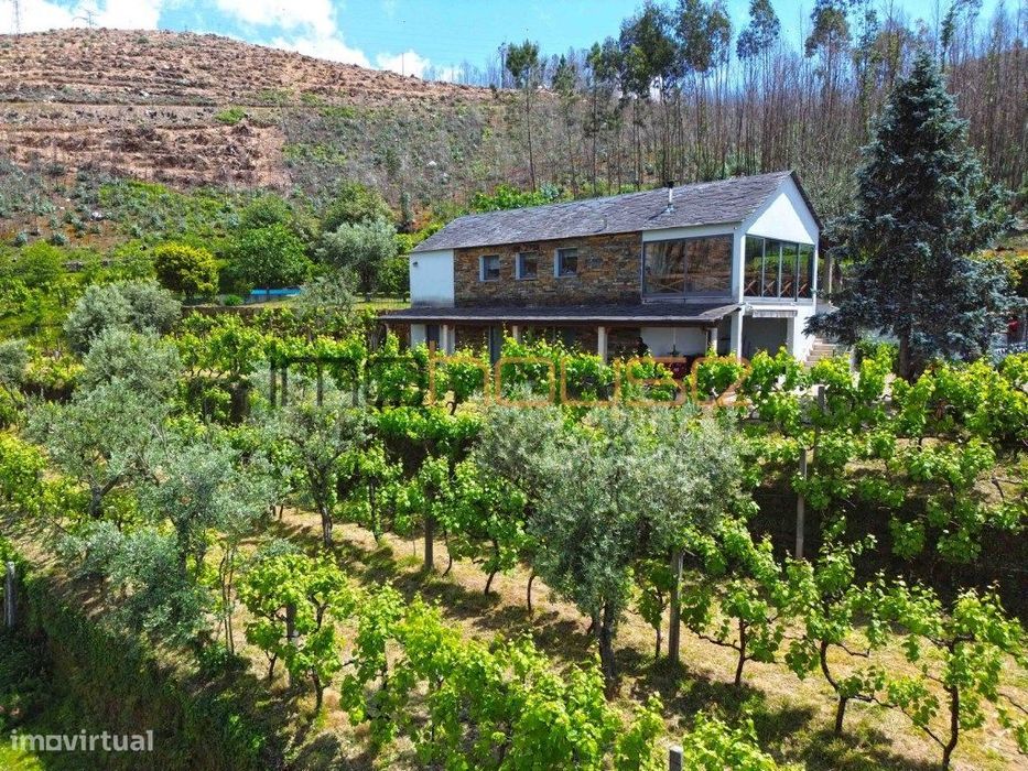 Quinta agrícola - 45 minutos do Porto