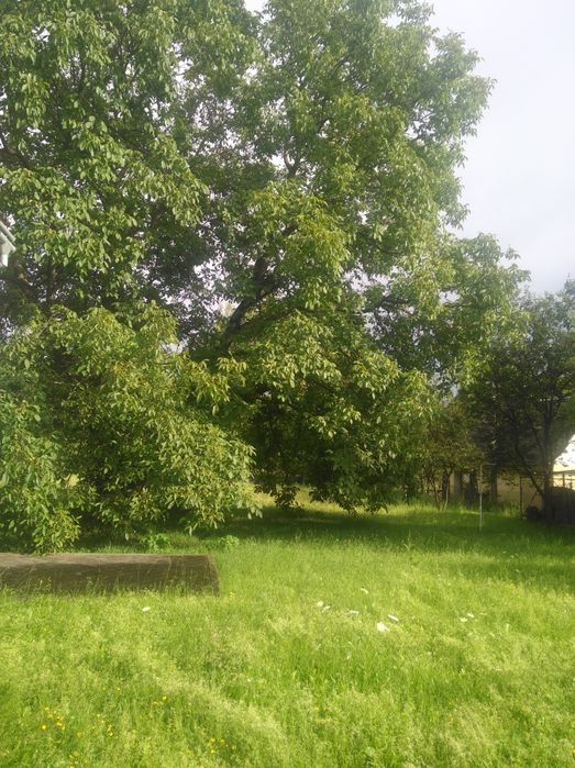 Продається будинок.Закарпатська обл.Тячівський р—н.,село Вільхівці.