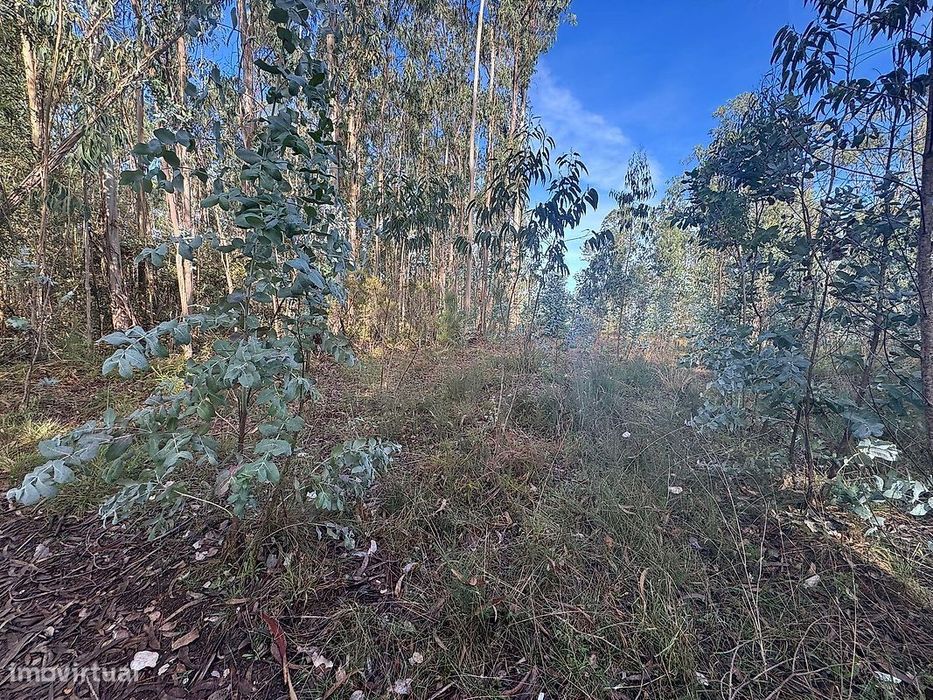 Terreno  para venda