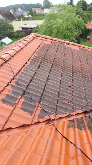 Karczowanie działek, koszenie, cięcie żywopłotów, drzew, wertykulacja