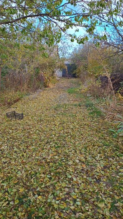 Продам будинок, м. Кобеляки (Підгора)